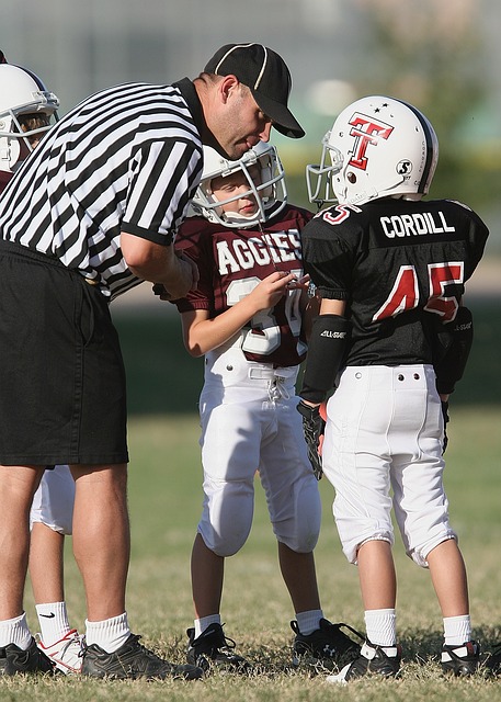 随着近年来 随着近年来