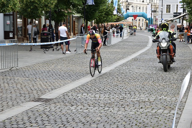 但理智仍然 但理智仍然