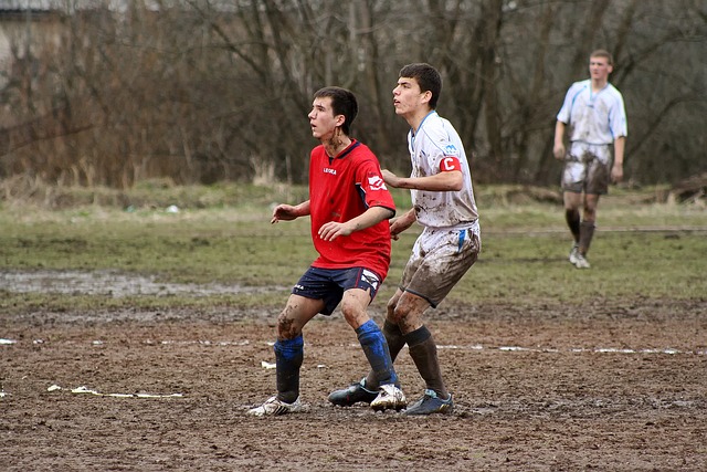极大推动了 极大推动了