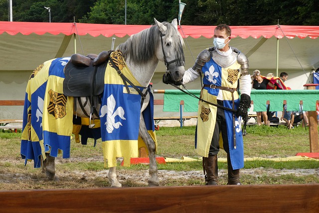 家们通过对 家们通过对